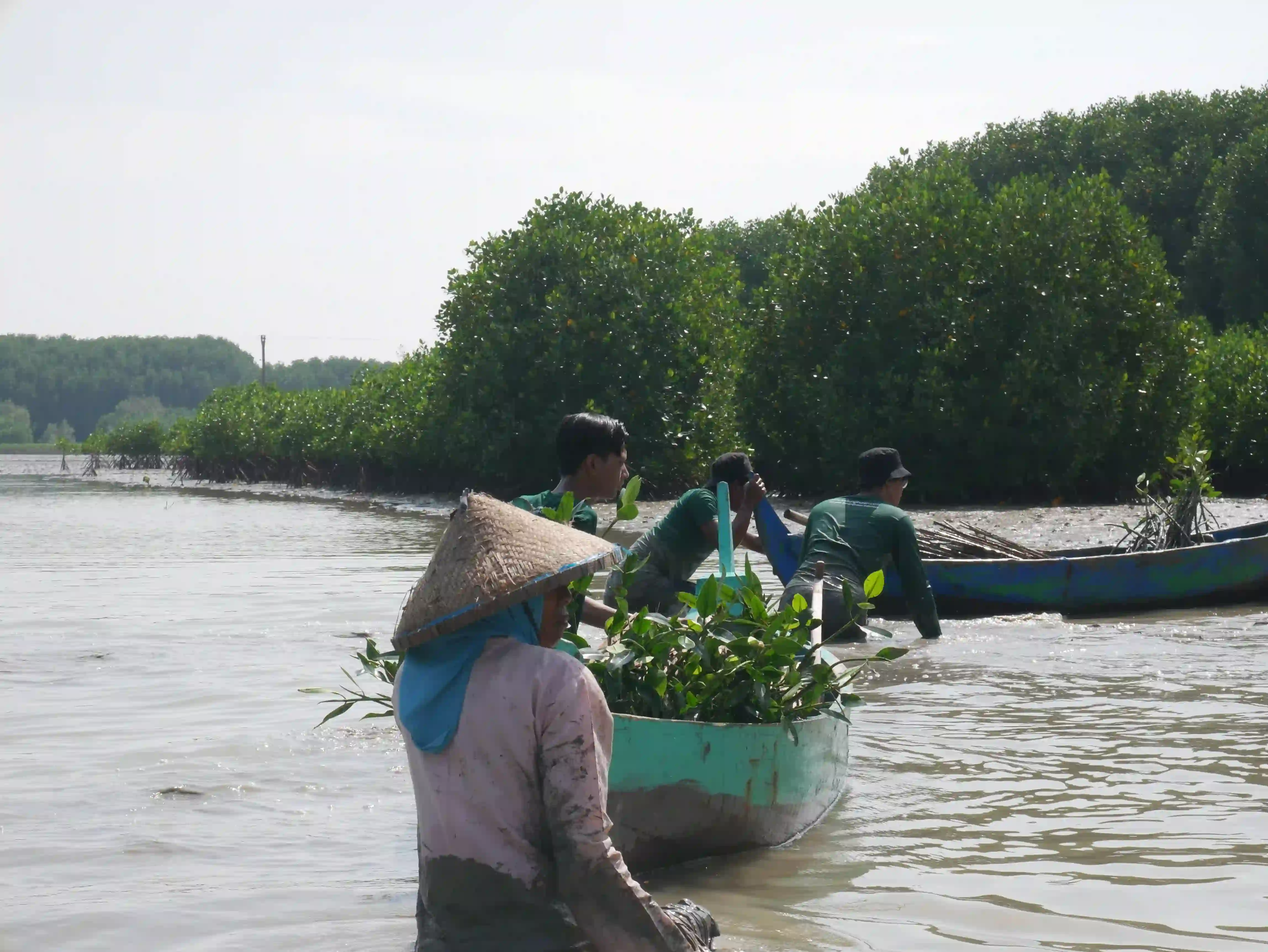 Sedekah Pohon LindungiHutan
